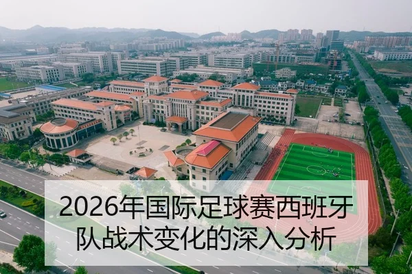 2026年国际足球赛西班牙队战术变化的深入分析
