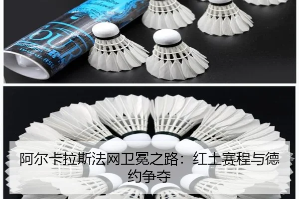 阿尔卡拉斯法网卫冕之路：红土赛程与德约争夺
